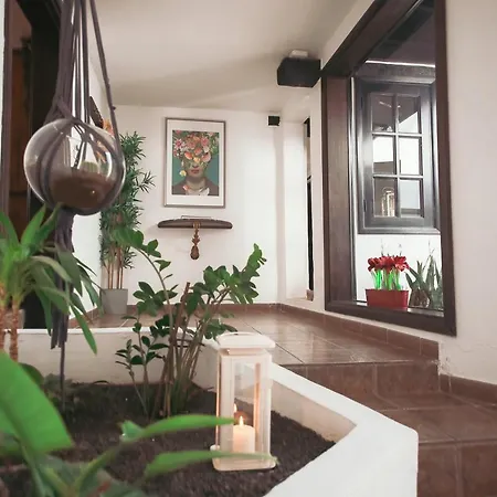 Casita Palmera